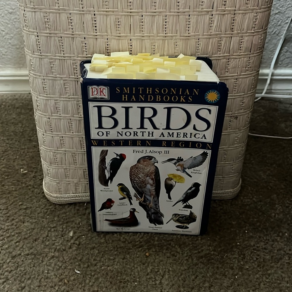 Giant bird book